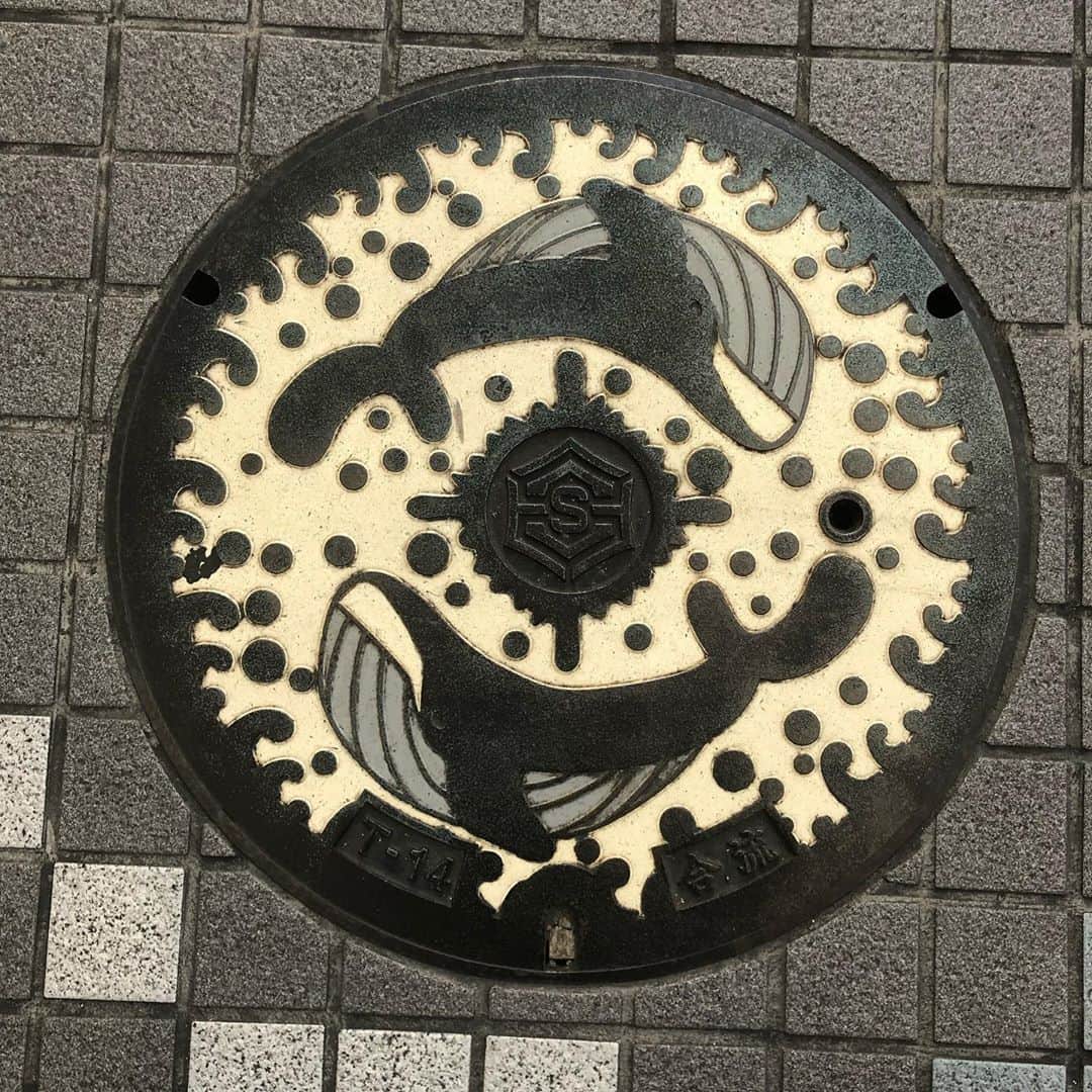 岡倫之さんのインスタグラム写真 - (岡倫之Instagram)「#高知県 #高知市 #土佐  #manhole #manholecover #マンホール #下を向いて歩こう #芸術 #アート #趣味」11月4日 19時17分 - great_o_khan