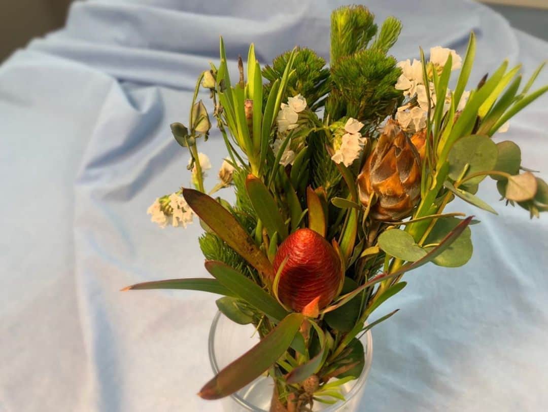 澤田愛美さんのインスタグラム写真 - (澤田愛美Instagram)「. スーパーJチャンネルABA 毎週水曜日は「きょうの花日記」🌸 . 秋から冬にかけて、花屋さんでは 輸入されたオーストラリアや南アフリカ原産の 個性的な花が多く見られるようになります💐 ネイティブフラワーやワイルドフラワーと呼ばれ、 花と言っても実や葉のような形です🌿 . きょう紹介したのはその一つ、 リューカデンドロン✍️ 同じ名前でも種類によって見た目がかなり違います😳 今回は麻紐でまとめて生けているので しばらく生花で楽しんだ後に このままドライフラワーとして飾れますよ🥰 . .  #花のある暮らし   #リューカデンドロン   #スーパーjチャンネルaba」11月4日 19時38分 - amy____oxox