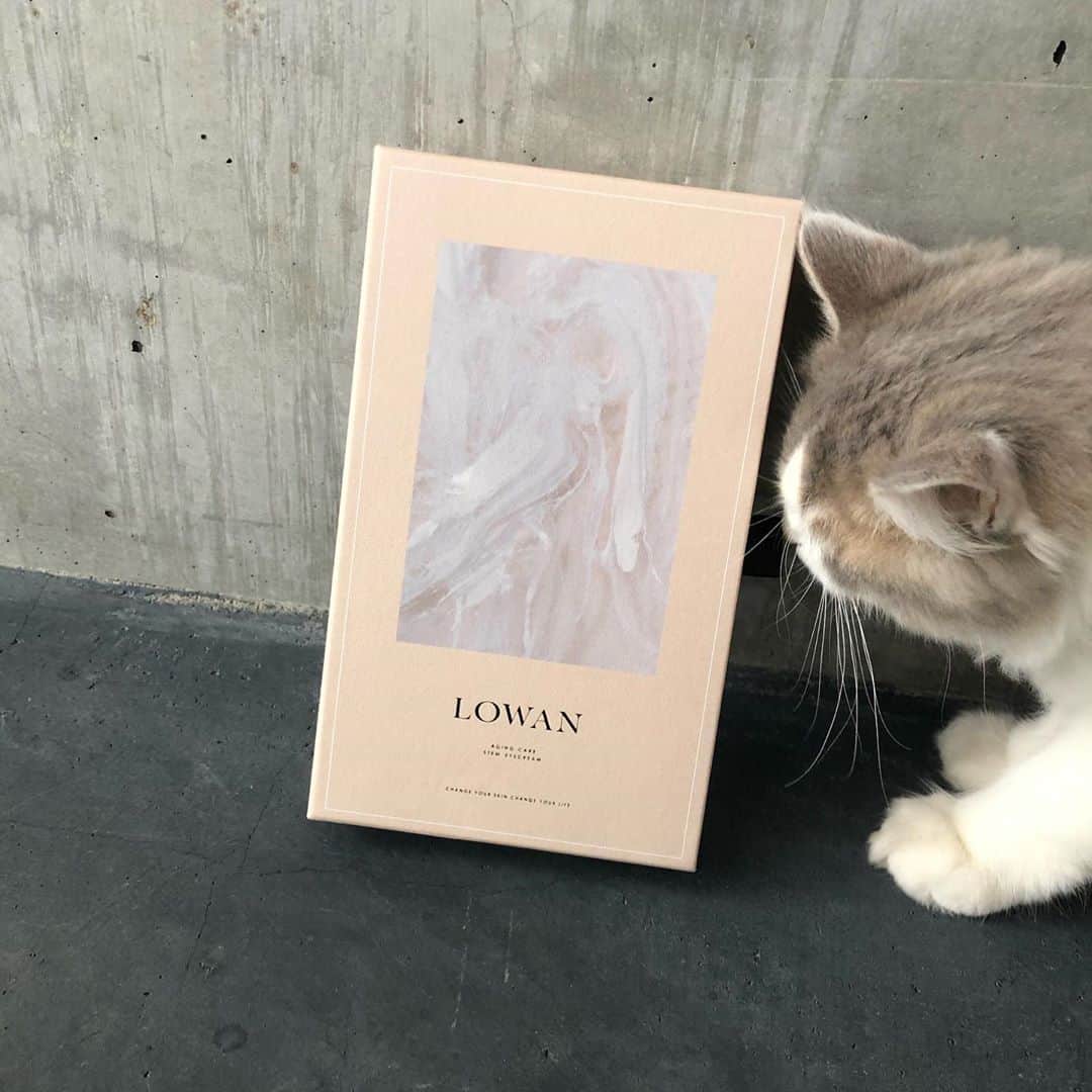 石川瑠利子のインスタグラム：「. . 最近はまっている @lowan.official  のアイクリーム👀✨ 普通のアイクリームと思いきや、人肝細胞が30%と高品質なことはもちろん、電動チューブがついていて浸透していくという万能ちゃん🥺 私は目だけじゃなくてフェイスラインやリンパにもそのまま使ってるよ🙆🏻‍♀️💕 . . #cosme #agingcare #instabeauty #LOWANアイクリーム #ロワンアイクリーム」