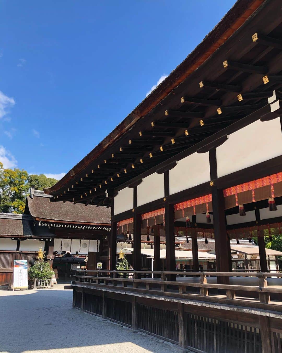 芽朗さんのインスタグラム写真 - (芽朗Instagram)「京都には一年間しか住んでいなかったけど、本当にお世話になった私のパワースポット。 糺の森から歩いて下鴨神社にお参りをして、河合神社の花梨水を飲むのが本当に大好き。  初めてホットを飲んだけれど、美味しかったなぁ。  今年も行けて幸せだった。 また来年に。」11月4日 19時58分 - mellowfukushima