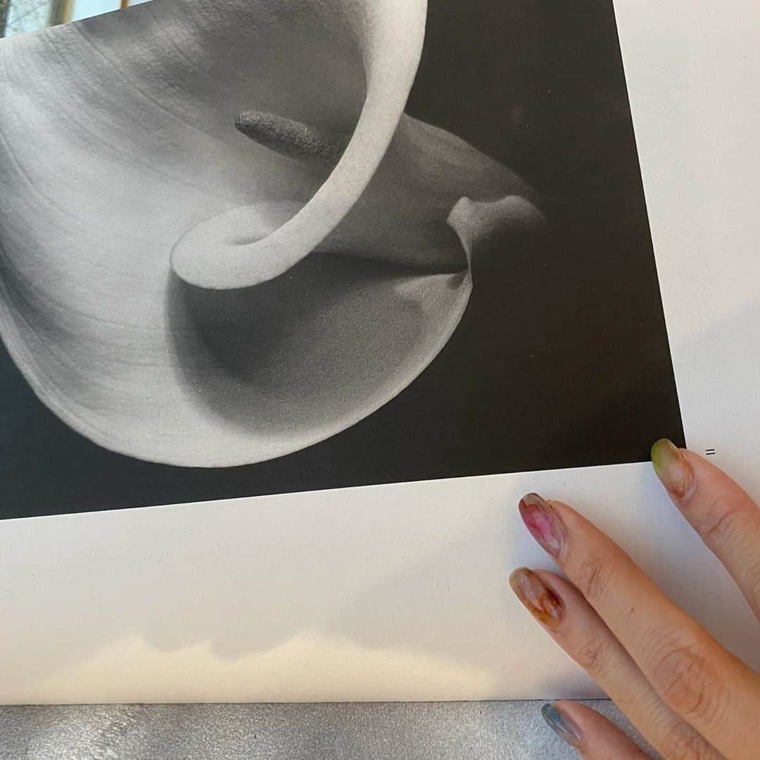 水野里砂のインスタグラム：「🥀」