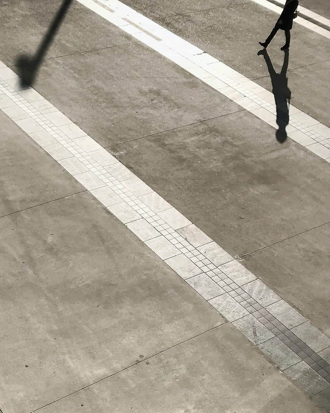 maco_kirahviのインスタグラム：「Shadow play🚶🏻 ・ ・ ・ #strideby  #busystranger  #ihaveathingforshadows」