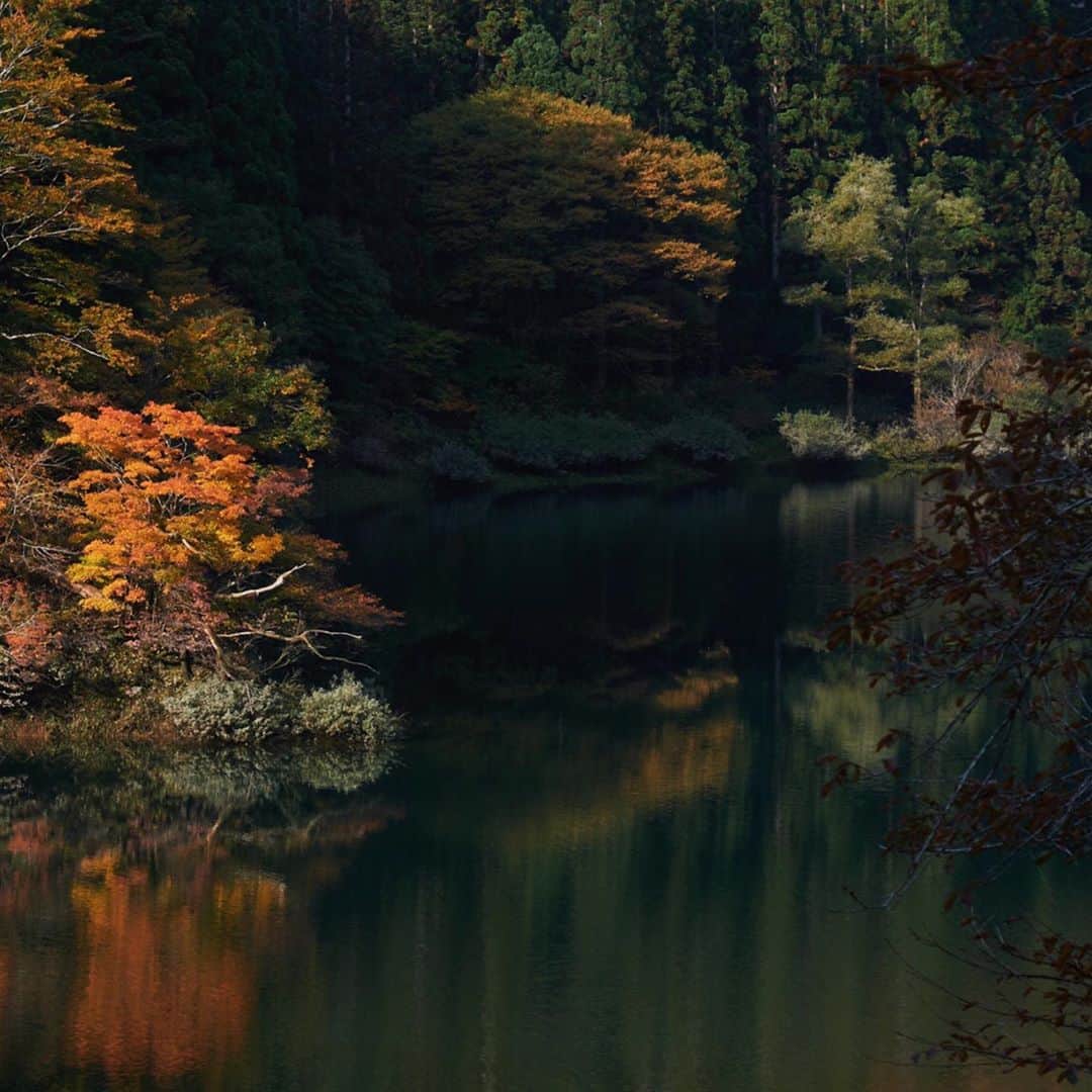 plus_thinkingさんのインスタグラム写真 - (plus_thinkingInstagram)「九頭竜湖の紅葉 . #beautifuljapan」11月4日 20時24分 - plus_thinking