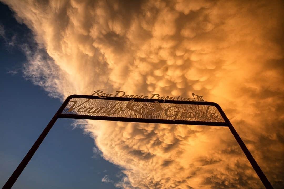 National Geographic Travelさんのインスタグラム写真 - (National Geographic TravelInstagram)「Photo by Keith Ladzinski @ladzinski / Sunset lights up a gigantic supercell storm of textured mammatus clouds. Mammatus formations are created by cold air sinking within the storm cell, creating downward pressure and generating these unique textures. To see more storm chasing photos, please visit @ladzinski. #MammatusClouds」11月4日 20時39分 - natgeotravel