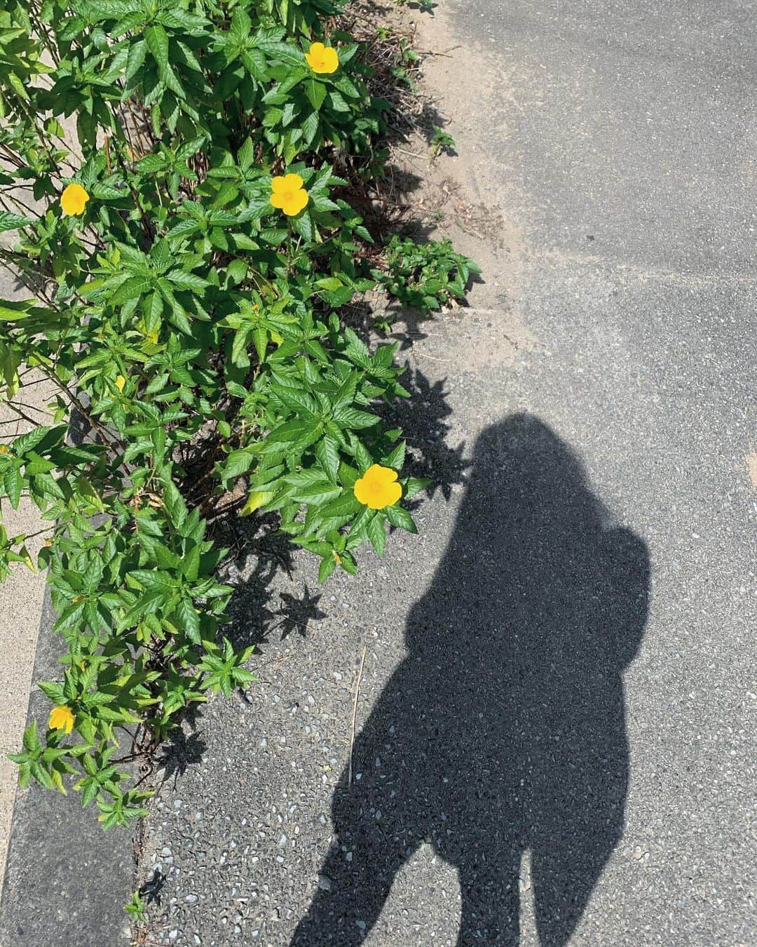 佐藤里緒菜のインスタグラム：「_ 1ヶ月くらいいたい⛱」