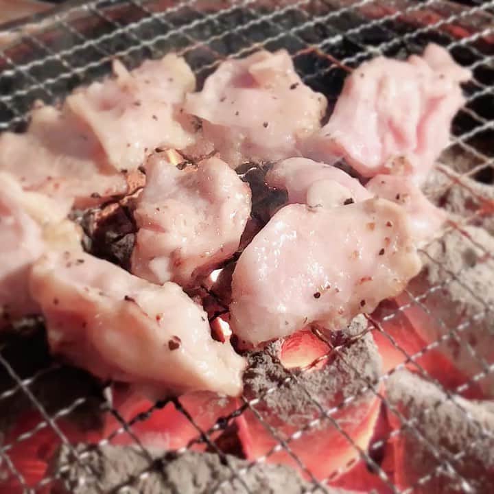 たつをのグルメインスタ