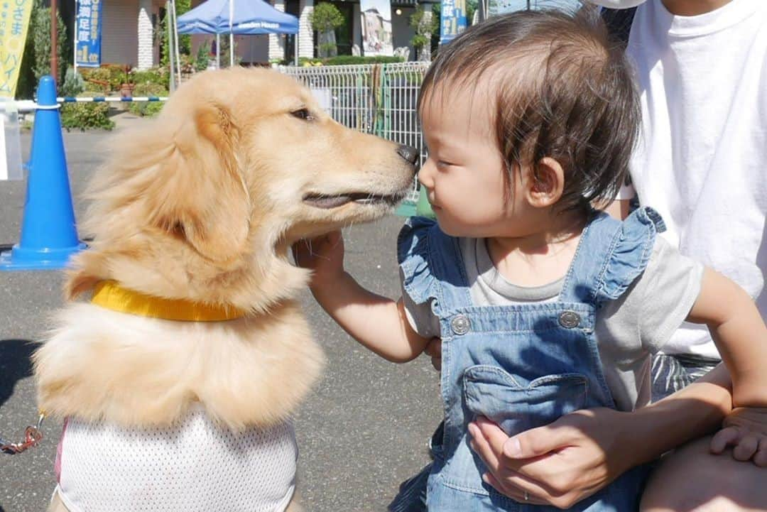 ままのてのインスタグラム