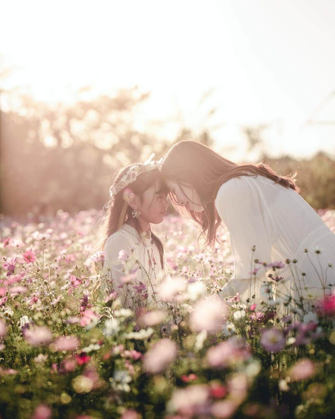 かなのインスタグラム：「． 杏奈縦ver🥺🌸 ． はぁ〜〜 もう可愛い😭💖 コスモスの妖精かい？🧚‍♀ 宝物ちゃん🥺 親バカ投稿続きますごめんね😢 ． ．  秋桜#コスモス#ロケフォト#ロケーションフォト#お誕生日#10月生まれ#秋生まれ#姉弟#宝物#家族写真#記念写真#娘#8歳#息子#6歳#familyphotography」