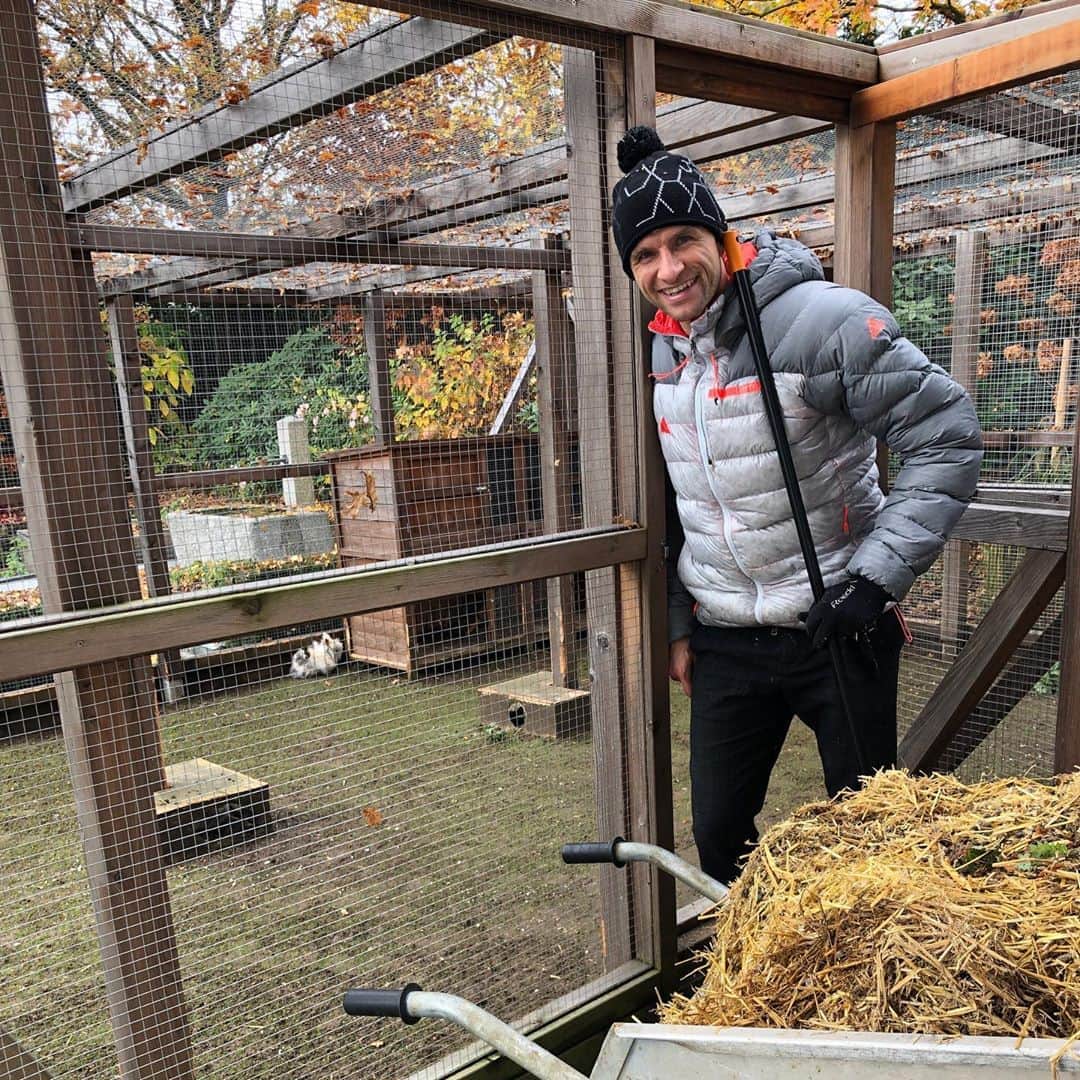 トーマス・ミュラーのインスタグラム：「It’s always nice to come home after a @championsleague night and do some normal things 🐰🥕 🎥 @lisa.mueller.official  #Derstallglänztwieder #socute #downtoearth #feelsgood #anpacken #mentalrecovery 🥕」