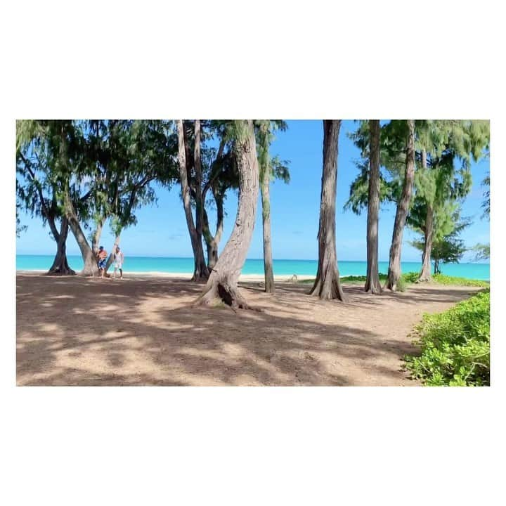 荒川れん子のインスタグラム：「【part 1】 Only few people at Waimānalo beach. 久々のワイマナロビーチ。平日のせいもあるかもしれないけど、数えるほどの人しかいませんでした。 海は相変わらずソーダゼリーみたい💙✨💕 . . #hawaii #aloha #happy #hilife #travel #instagood #waimanalobeach  #beach #instagenichawaii #relax #luckywelivehawaii #lifeisajourney #lovehawaii #ハワイ #ハワイ生活 #ハワイ暮らし #ハワイ在住 #旅 #日々の暮らし #ハワイ旅行 #今のハワイ #ハワイ好き #ハワイ好きな人と繋がりたい #海 #ビーチ #ハワれん #💙 #のんびり したかったけど😅　実際はバタバタと#散歩 もどき #😅」