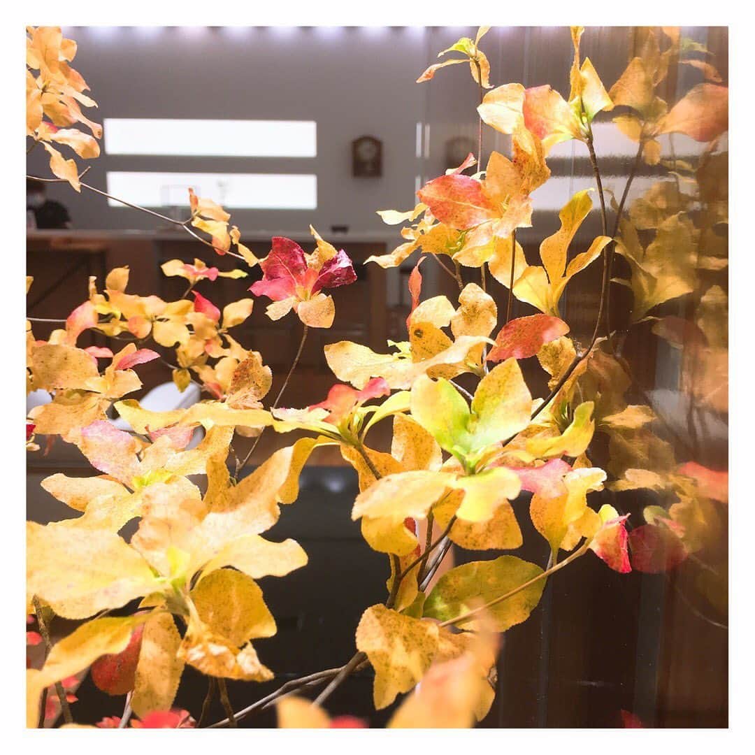 ネイルケアサロン タアコバさんのインスタグラム写真 - (ネイルケアサロン タアコバInstagram)「冬を迎える前の有終の美を、彩りで華やかに飾る木の葉。タアコバでは冬にこそ足元を綺麗に整えるエレガントをお勧めしております。  #メリア #ドウダンツツジ #お花 #タアコバ大丸東京店 冬ネイル #タアコバ #taacoba #ロングルアージュ #longleage #自爪育成 #自爪 #自爪ネイル育爪 #美爪 #甘皮ケア #ネイルケア #ネイルサロン #マニキュア #ペディキュア #マニキュアリスト #セルフケア #ネイルケア #銀座ネイルサロン #東京ネイルサロン #二子玉川ネイルサロン #心斎橋ネイルサロン #梅田ネイルサロン #大阪ネイルサロン」11月5日 7時54分 - taacoba