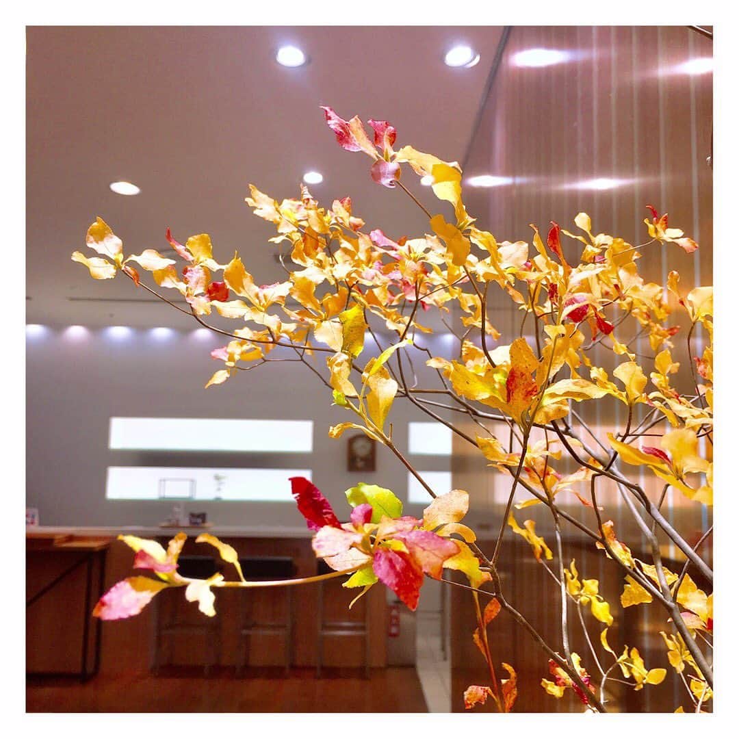 ネイルケアサロン タアコバさんのインスタグラム写真 - (ネイルケアサロン タアコバInstagram)「冬を迎える前の有終の美を、彩りで華やかに飾る木の葉。タアコバでは冬にこそ足元を綺麗に整えるエレガントをお勧めしております。  #メリア #ドウダンツツジ #お花 #タアコバ大丸東京店 冬ネイル #タアコバ #taacoba #ロングルアージュ #longleage #自爪育成 #自爪 #自爪ネイル育爪 #美爪 #甘皮ケア #ネイルケア #ネイルサロン #マニキュア #ペディキュア #マニキュアリスト #セルフケア #ネイルケア #銀座ネイルサロン #東京ネイルサロン #二子玉川ネイルサロン #心斎橋ネイルサロン #梅田ネイルサロン #大阪ネイルサロン」11月5日 7時54分 - taacoba