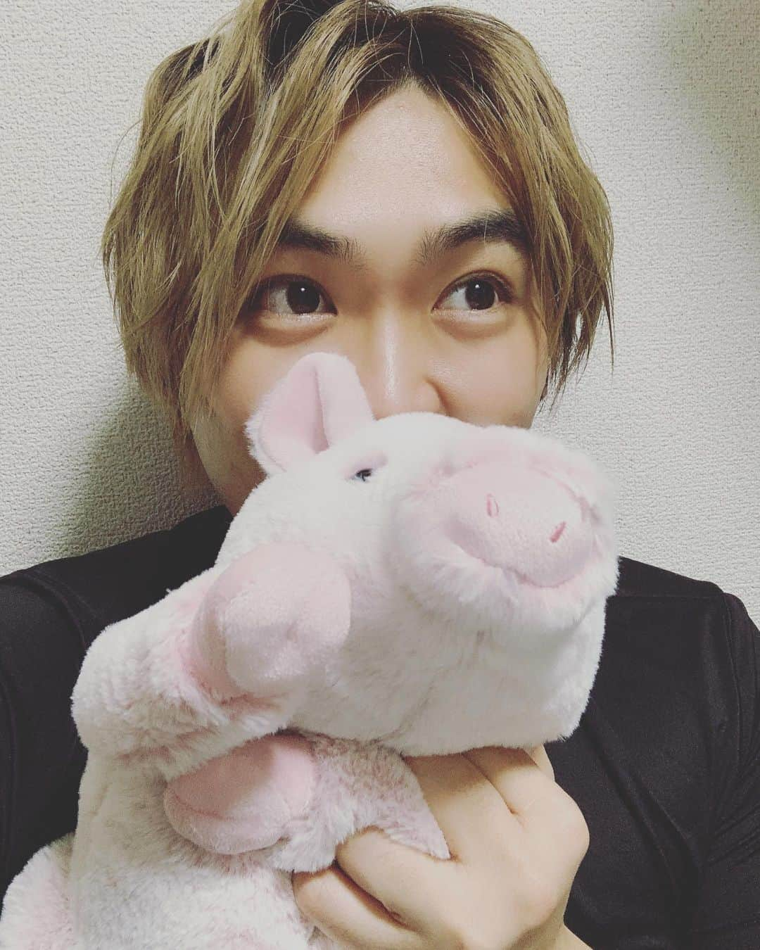 木島隆一のインスタグラム：「🐷ぶた吸いなう🐷✨ ひざぶたさんがやってきた🤭」