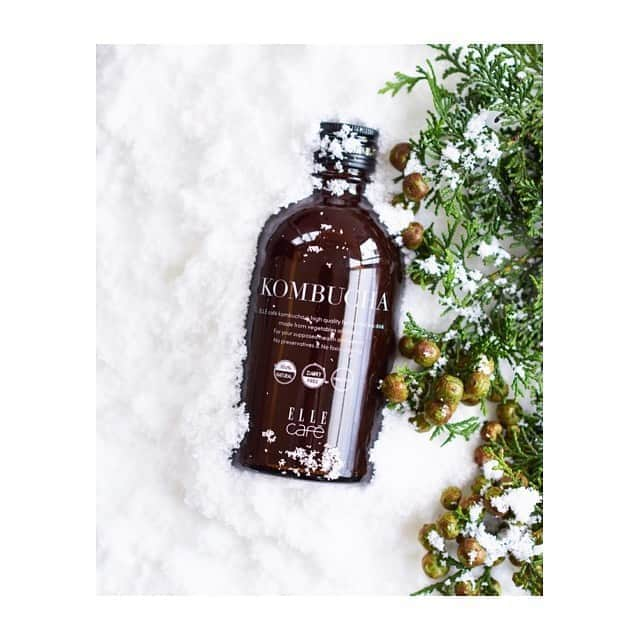 ellecafejapanのインスタグラム：「【 Winter care item❄️ 】﻿ ﻿ ﻿ ELLE caféのKOMBUCHAはこれからの季節の温活にとってもオススメです❕﻿ ﻿ ﻿ クローブ、シナモン、フェンネル、ジンジャー、ヒハツ、トウガラシ、ゆず、ビネガーなど、血流やリンパの流れを促し、カラダをあたためる素材にこだわり開発されているため、﻿ ﻿ 温活やむくみ予防につながる、カラダの 「めぐり」のサポートに🙆🏻‍♀️﻿ ﻿ ﻿ 温かい飲み物やスープで割って飲んでいただくと、臓器を温めながらより効果的に栄養摂取ができます✨﻿ ﻿ まだ試したことのない方は是非HOTアレンジにトライしてみてください🌿﻿ ﻿ ﻿ ﻿ HPにて簡単に作れるアレンジレシピを掲載しています。﻿ 気になる方は是非チェックしてみてください✔️﻿ ﻿ ﻿ ﻿ #エルカフェ#簡単レシピ#冷え#冷え改善#代謝促進#健康#美容#美肌#コンブチャ#ellecafe#kombucha」