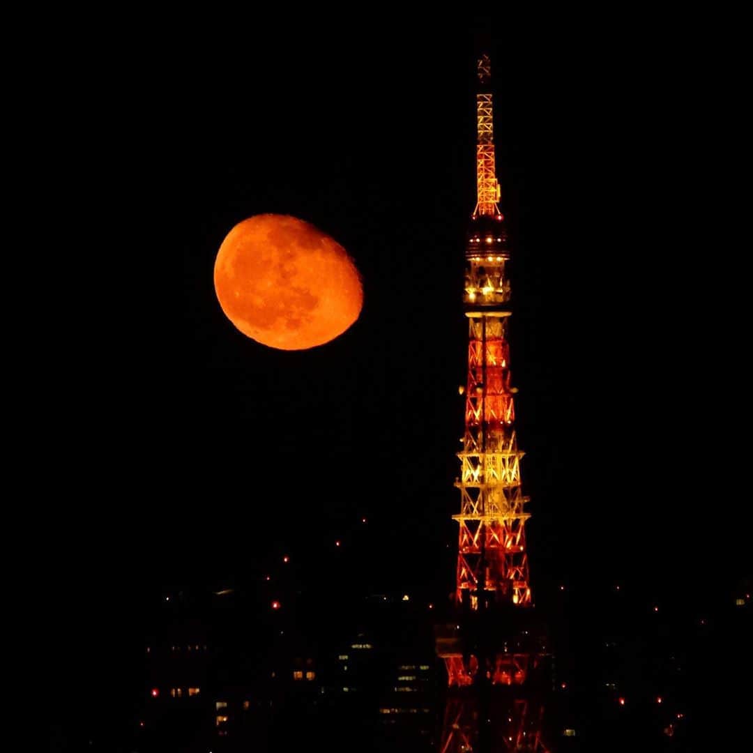 JILLさんのインスタグラム写真 - (JILLInstagram)「ラジオ高崎が終わって窓の外を見たら‼️月がぁ〜低い位置に赤くどでかく見えたぁ❗️望遠デジカメで激写。これは何も加工してないの〜、ほぼ東京タワー越しにこんなふうに見えました。 欠けていく月。1番最後がiPhone。 この後、月はタワーの右側に移動して雲に隠れて行きました。 #personz #jillpersonz @jillpersonz #20201104赤い月　#赤い月」11月5日 0時26分 - jillpersonz