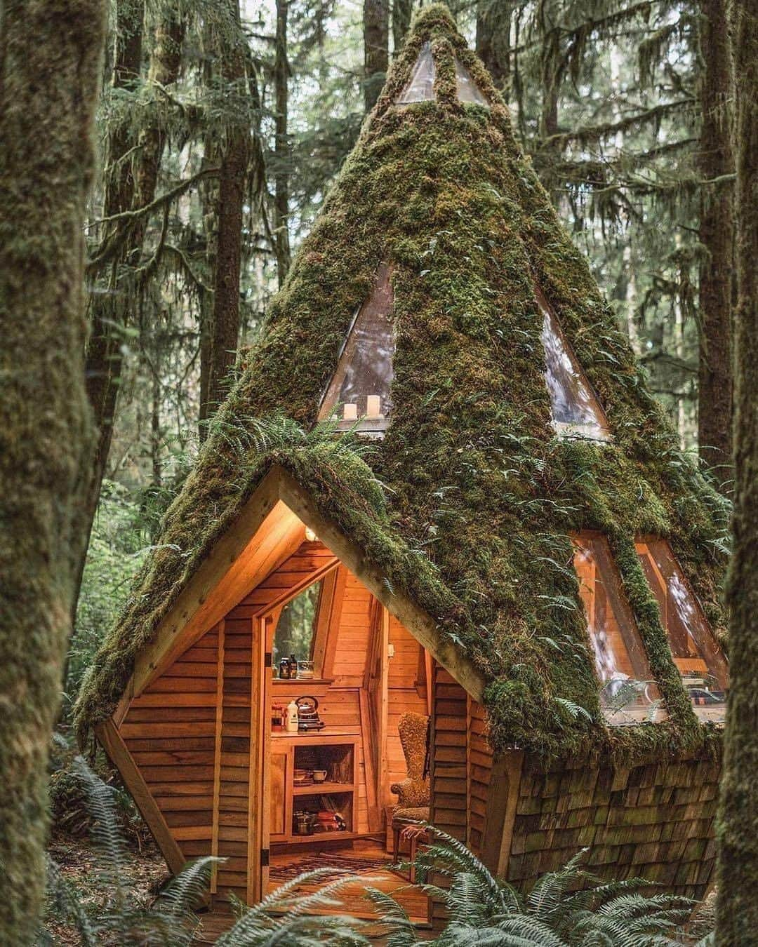 Discover Earthさんのインスタグラム写真 - (Discover EarthInstagram)「This looks really cosy! Who would love to stay there? ✋  🌲 #discoverthewoods  with @everchanginghorizon   . . . .  #nature  #forest  #trees  #woodland  #wood  #wilderness  #treeporn  #tree  #bushcraft  #hike  #trail  #cabin  #woods  #cabinlife  #tinyhouse  #cabininthewoods  #loghome  #cabinporn  #offgrid  #treehouse  #farmhouse  #intothewild」11月5日 1時00分 - discoverearth