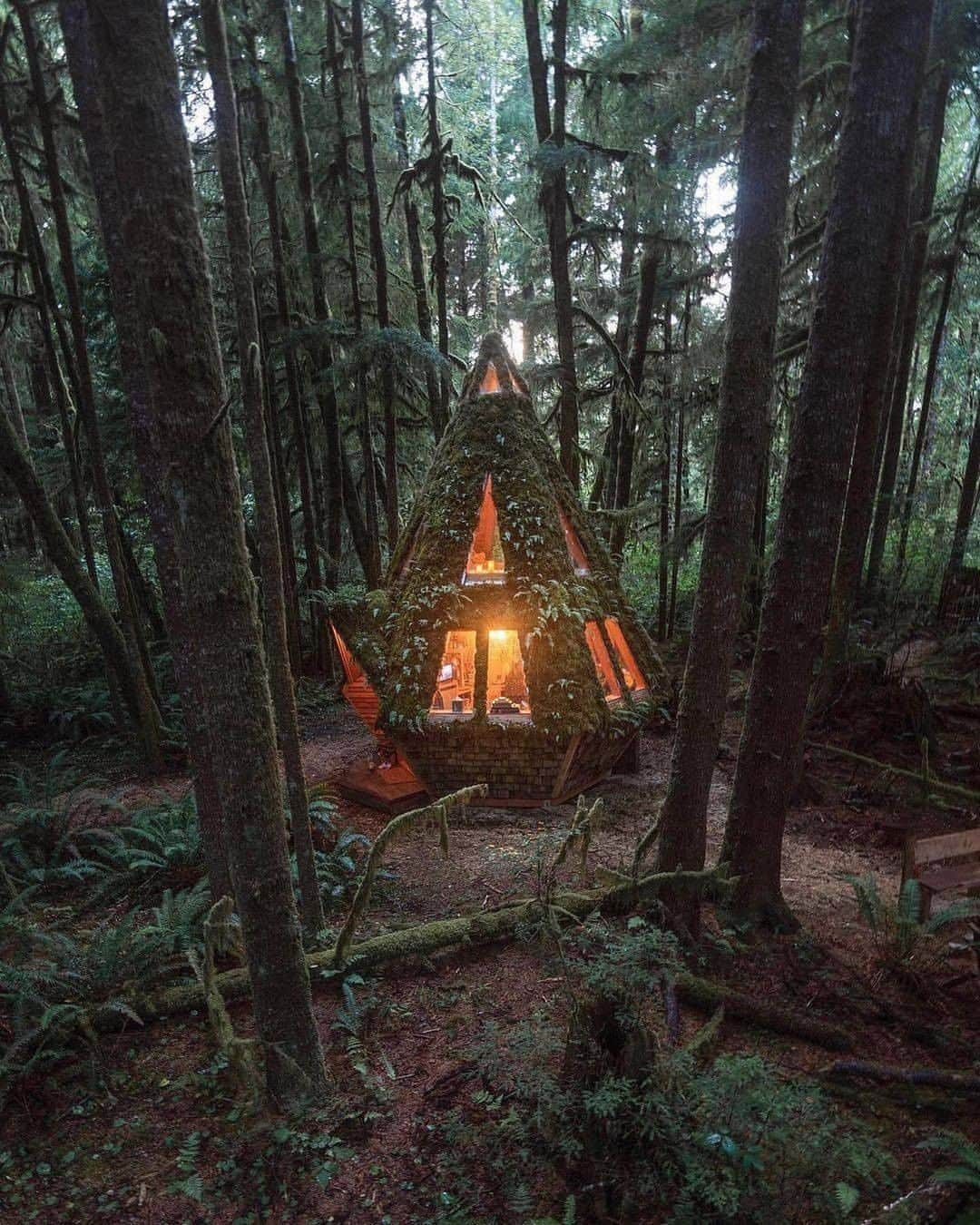 Discover Earthさんのインスタグラム写真 - (Discover EarthInstagram)「This looks really cosy! Who would love to stay there? ✋  🌲 #discoverthewoods  with @everchanginghorizon   . . . .  #nature  #forest  #trees  #woodland  #wood  #wilderness  #treeporn  #tree  #bushcraft  #hike  #trail  #cabin  #woods  #cabinlife  #tinyhouse  #cabininthewoods  #loghome  #cabinporn  #offgrid  #treehouse  #farmhouse  #intothewild」11月5日 1時00分 - discoverearth