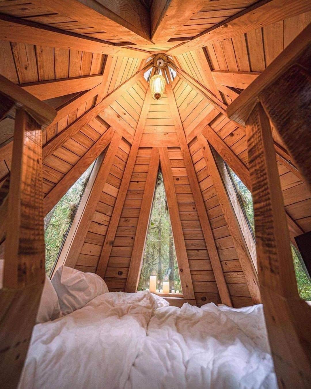 Discover Earthさんのインスタグラム写真 - (Discover EarthInstagram)「This looks really cosy! Who would love to stay there? ✋  🌲 #discoverthewoods  with @everchanginghorizon   . . . .  #nature  #forest  #trees  #woodland  #wood  #wilderness  #treeporn  #tree  #bushcraft  #hike  #trail  #cabin  #woods  #cabinlife  #tinyhouse  #cabininthewoods  #loghome  #cabinporn  #offgrid  #treehouse  #farmhouse  #intothewild」11月5日 1時00分 - discoverearth