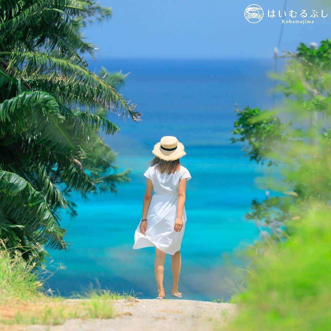 HAIMURUBUSHI はいむるぶしさんのインスタグラム写真 - (HAIMURUBUSHI はいむるぶしInstagram)「小浜島・はいむるぶしから癒しの風景をお届けします。 ここにしかない海の道… 緑の木々を抜けると煌めく八重山ブルーの海が出迎えてくれます。 #沖縄 #八重山諸島 #離島 #海の道 #海 #景色 #小浜島 #リゾート #ホテル #はいむるぶし」11月5日 1時14分 - haimurubushi_resorts