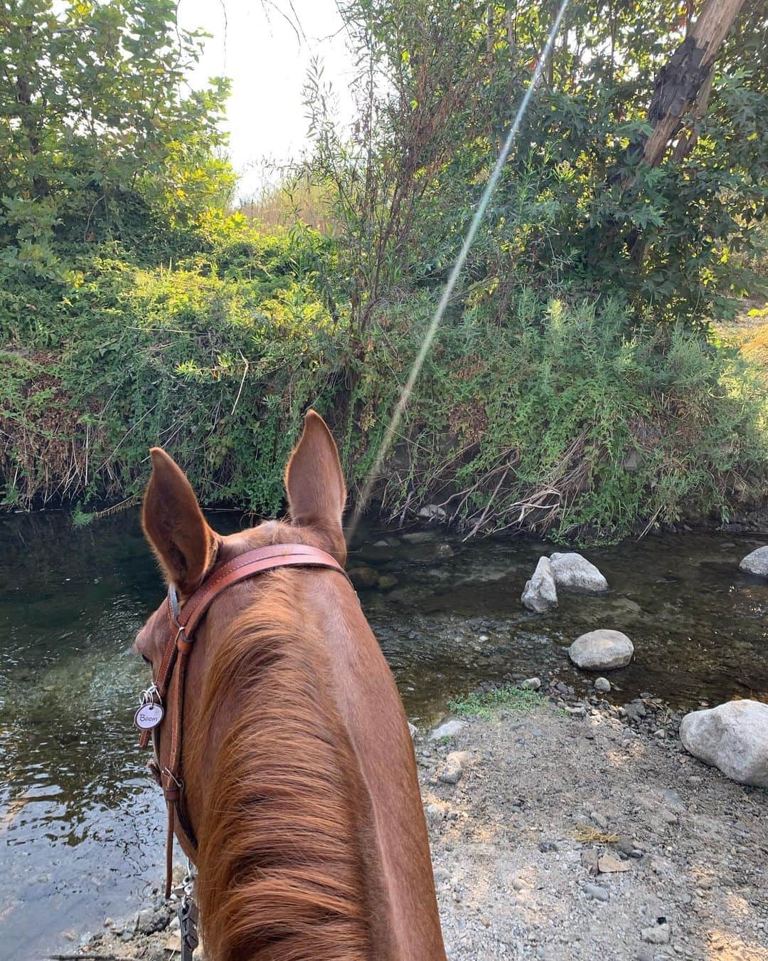 ベス・ベアーズのインスタグラム：「Checking in on everyone this morning. How is your mental health today? Stay hopeful. Get out into nature today, if possible. Feet on earth. Sunshine on skin. It's the greatest healer. Sending you all my love.」