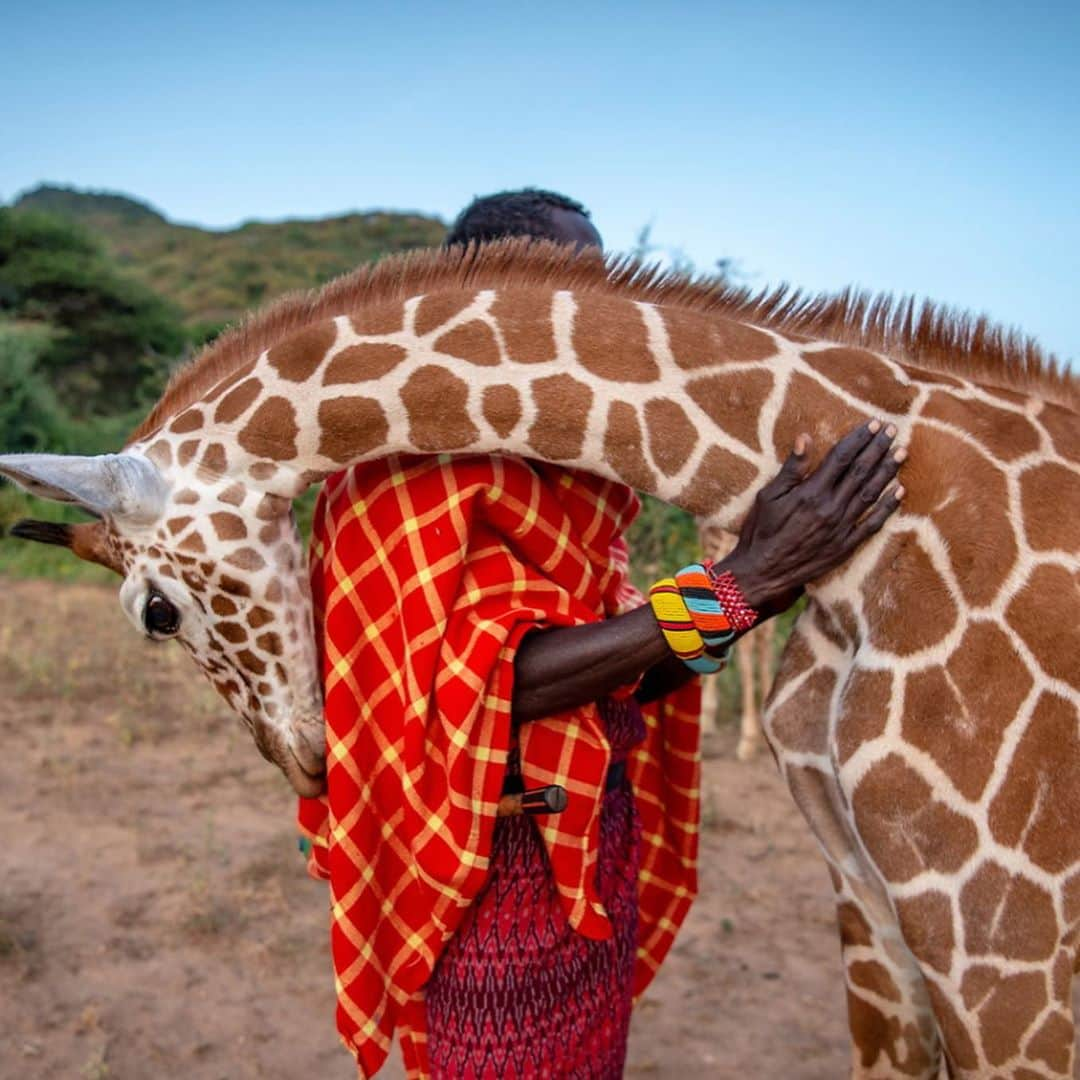 Robert Clarkさんのインスタグラム写真 - (Robert ClarkInstagram)「Do you Love photography? If so then this is a great time for you to start collecting prints or add to your existing collection. I am so happy to have been asked to take part in a photographic print sale to raise money for such a great cause.   I believe in the power of photography to bring about change. Prints for Nature, a photography print sale, that will support conservation and features more than 80 of the world’s most inspiring photographers including @NatGeo photographers @dguttenfelder @davidliittschwager @amivitale and @CHamiltonJames @vincentjmusi @randyolson, plus a stunning image from @pie_aerts. 100% of net proceeds will support core @Conservationorg initiatives. Choose from these stunning images from some of the world’s finest photographers and purchase yours today at www.printsfornature.com (link in bio.)   This project is the inspiration of @amivitale and Ellen Mignoni who have worked together for nearly two decades a on different projects. The museum quality printing is the work of Macy James a fine art printer, @paperandinkstudio, who has worked with Ami on several other projects.   100% of net proceeds will go directly to @conservationorg, an organization whose dedication to supporting grassroots conservation efforts in the field inspires us every day. #conservation #naturephotography #printsforsale #printsfornature @robertclarkphoto @pie_aerts @davidliittschwager @dguttenfelder @amivitale @ robertclarkphoto」11月5日 3時23分 - robertclarkphoto