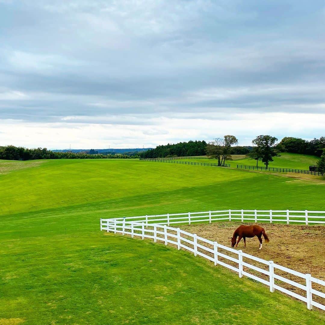 マキ・コニクソンのグルメインスタ