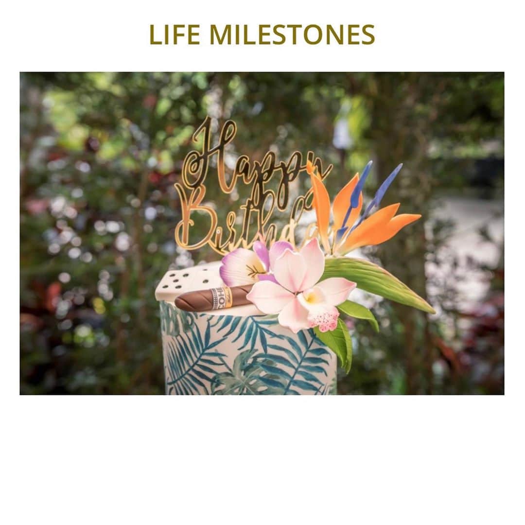 Zoological Wildlife Foundationさんのインスタグラム写真 - (Zoological Wildlife FoundationInstagram)「Join us as we launch our new and exciting venture!!🐾  Wildlife Gardens is an exceptional event venue located in Miami. Home to exotic wildlife such as, big cats, primates, large predatory birds, mammals, and reptiles.  We create and host spectacular events for private, corporate & social guests.  An iconic property in Florida resting on 5 acres of land. When you enter Wildlife Gardens, you are transported in a tropical jungle greeted by sounds of exotic birds, primates and ferocious felines. Our landscape is a mix of tropical jungle, waterfall, live pond and exotic animal habitat. Check us out and book your next event. More information: (786)494-0332 #eventplanner #eventvenue #holidaydestination」11月5日 6時22分 - zwfmiami