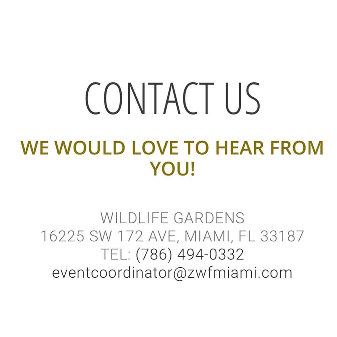 Zoological Wildlife Foundationさんのインスタグラム写真 - (Zoological Wildlife FoundationInstagram)「Join us as we launch our new and exciting venture!!🐾  Wildlife Gardens is an exceptional event venue located in Miami. Home to exotic wildlife such as, big cats, primates, large predatory birds, mammals, and reptiles.  We create and host spectacular events for private, corporate & social guests.  An iconic property in Florida resting on 5 acres of land. When you enter Wildlife Gardens, you are transported in a tropical jungle greeted by sounds of exotic birds, primates and ferocious felines. Our landscape is a mix of tropical jungle, waterfall, live pond and exotic animal habitat. Check us out and book your next event. More information: (786)494-0332 #eventplanner #eventvenue #holidaydestination」11月5日 6時22分 - zwfmiami
