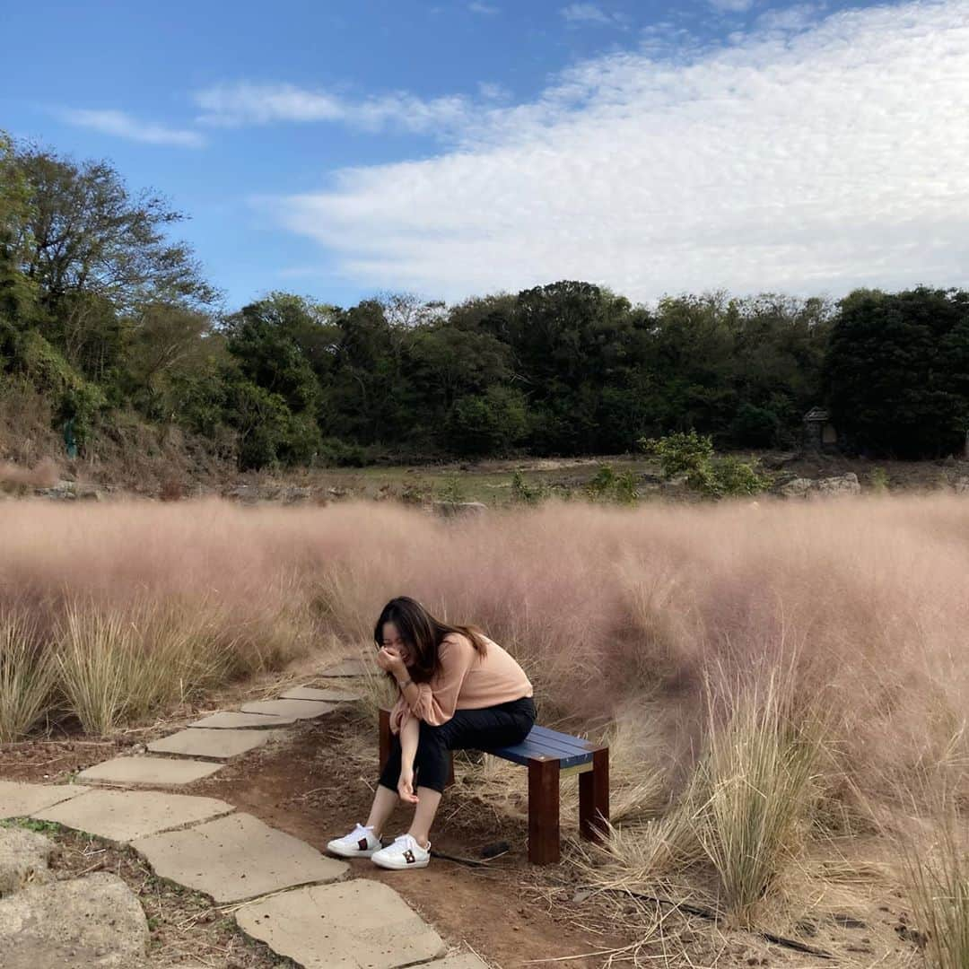 チョン・ダへさんのインスタグラム写真 - (チョン・ダへInstagram)「이쁘다, 제주.  오늘도 만나면 즐거운 언니야들과 신나고 행복한 시간🥰 ㆍ ㆍ 다 끝나가는 핑크뮬리 늘 한 발짝 느린 딸래.  그래, 그래. 느려도  내 속도에 맞게 사는거 🚶‍♀️🚶‍♀️  그게 좋아 😀   🤭🤭  #딸래in제주 #제주도민 #제주살이 #핑크뮬리 #이쁘다 #가을타는딸래 #제주도보여드려요 #손발오글」11月5日 16時28分 - ddallae