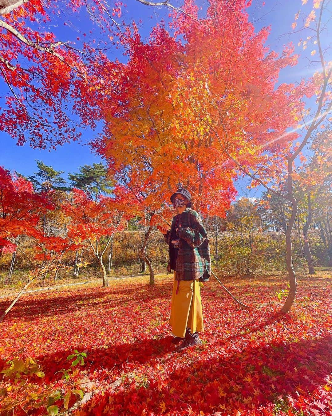LiSAさんのインスタグラム写真 - (LiSAInstagram)「遅れて秋を捕まえに🍁🔥」11月5日 16時44分 - xlisa_olivex