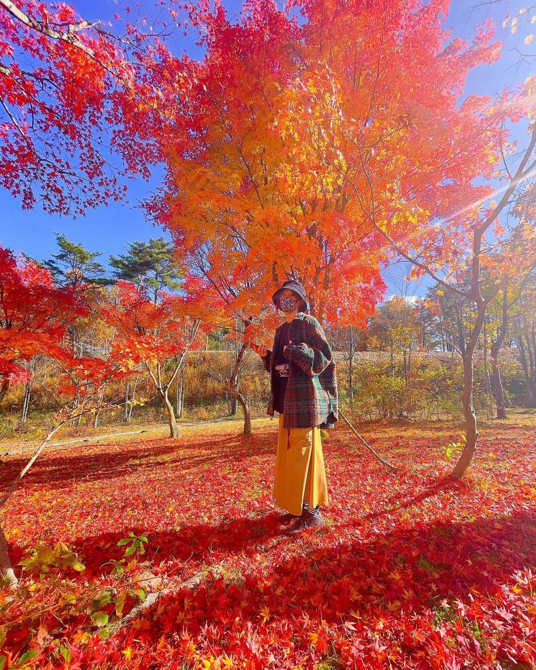 LiSAさんのインスタグラム写真 - (LiSAInstagram)「遅れて秋を捕まえに🍁🔥」11月5日 16時44分 - xlisa_olivex