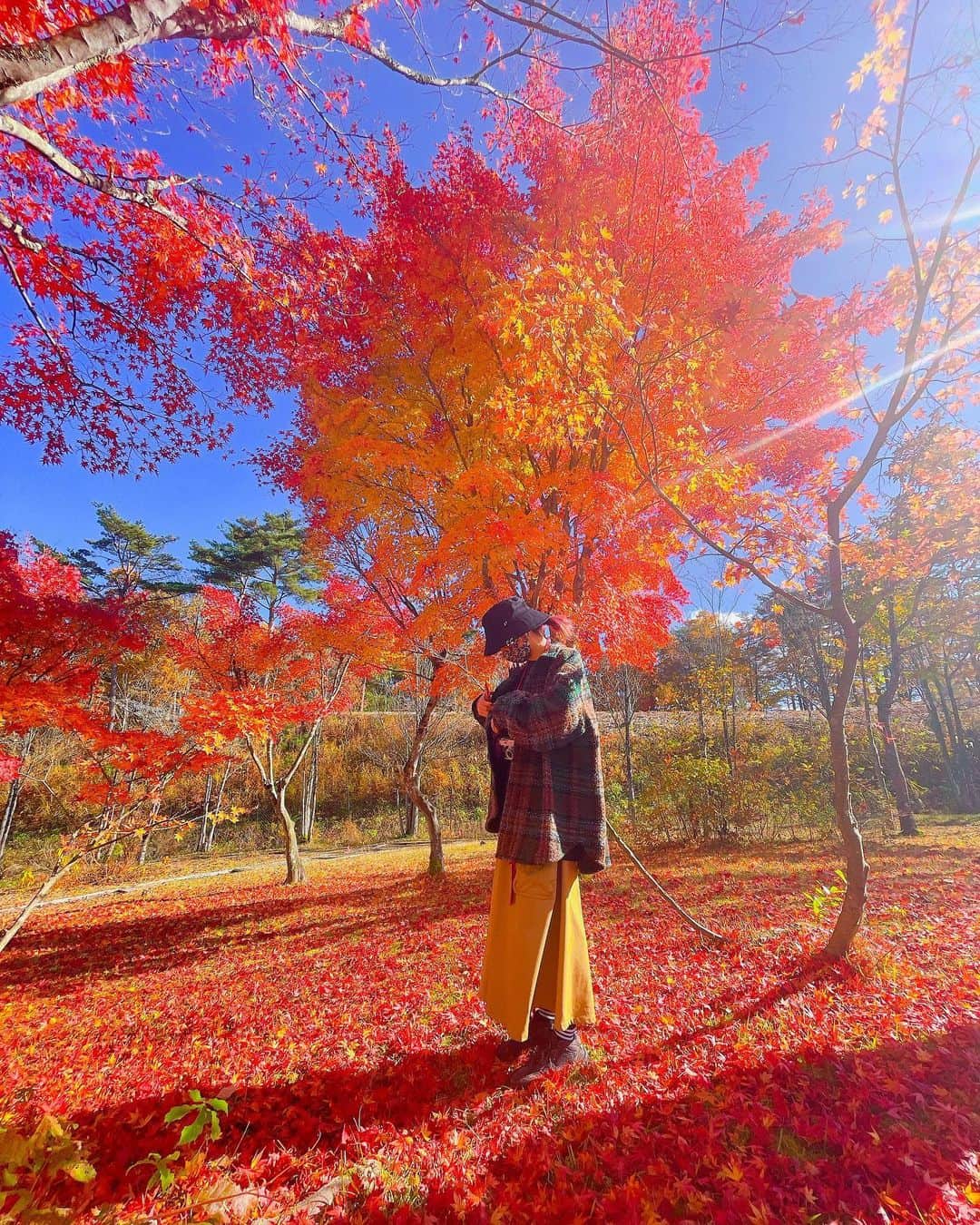 LiSAさんのインスタグラム写真 - (LiSAInstagram)「遅れて秋を捕まえに🍁🔥」11月5日 16時44分 - xlisa_olivex