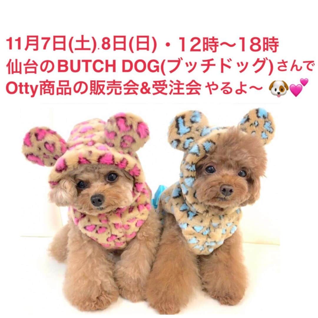 のインスタグラム：「📣仙台のブッチドッグさんで🐶📣 ☺︎ 11月7日(土)8日(日)開催の 『ブッチドッグさん』 での販売会💁‍♀️✨ 小物も見たい〜💓と言うお問い合わせも頂きましたので、ブッチさんで直接見て頂けるグッズと小物の写真と載せておきます♡ お友達へのクリスマスプレゼントにも最適な物もありますので、お近くの方はぜひ遊びに来てくださいねっ🐶💕 ☺︎ 場所:ＢＵＴＣＨ ＤOG(ブッチドッグ) 宮城県仙台市青葉区五橋２－４－１３ 豆腐会館２階 TEL :022-748-7487 日程：11月7日(土)～8日(日) 時間：12:00～18：00 ⑅◡̈⑅◡̈ #宮城県 #仙台市 #仙台 #ペットショップ #BUTCH #BUTCHDOG #Cuun #スナップ撮影 #Otty #HalloweenParty #秋冬商品 #販売会 #1週間遅れ の #ハロウィンパーティー #ワンちゃん #オーナーさん #コスプレ #大歓迎 #ミニスカポリス #現る #遊びに来てくれなきゃ #逮捕しちゃうぞ #🐶 #👮‍♀️ #🎃 #👻 #💕」