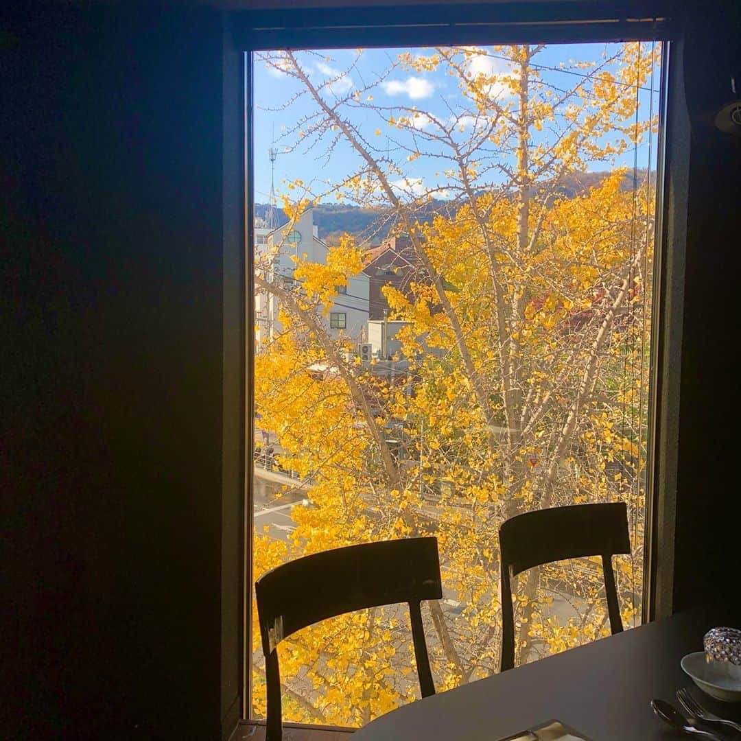 キム・ウンジョンさんのインスタグラム写真 - (キム・ウンジョンInstagram)「🍂」11月5日 17時03分 - eunjung1128