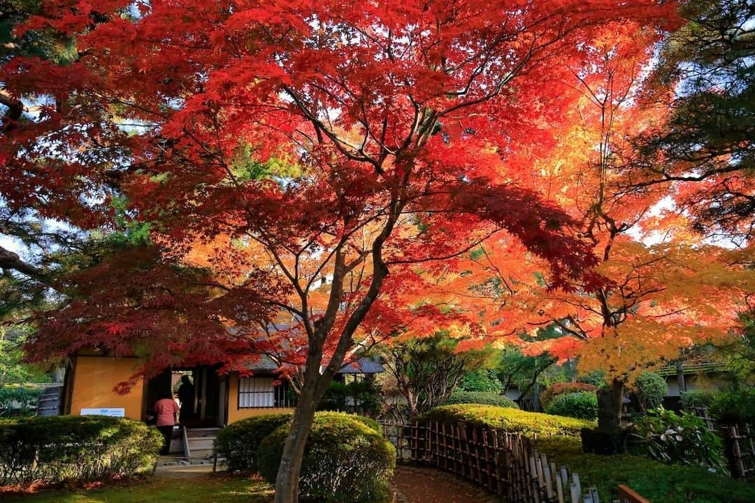 福島県さんのインスタグラム写真 - (福島県Instagram)「【茶室麟閣】  千利休の子・少庵が、会津藩主蒲生氏郷のために建てたといわれる茶室です。鶴ヶ城の敷地内にあり、侘びの世界を感じながら、お茶を楽しむ事もできます。  #茶室麟閣 #会津若松市 #福島県 #aizuwakamatsucity #fukushima #traveljapan #futurefromfukushima #ふくしまからはじめよう #新しい生活様式からはじめよう」11月5日 17時17分 - realize_fukushima