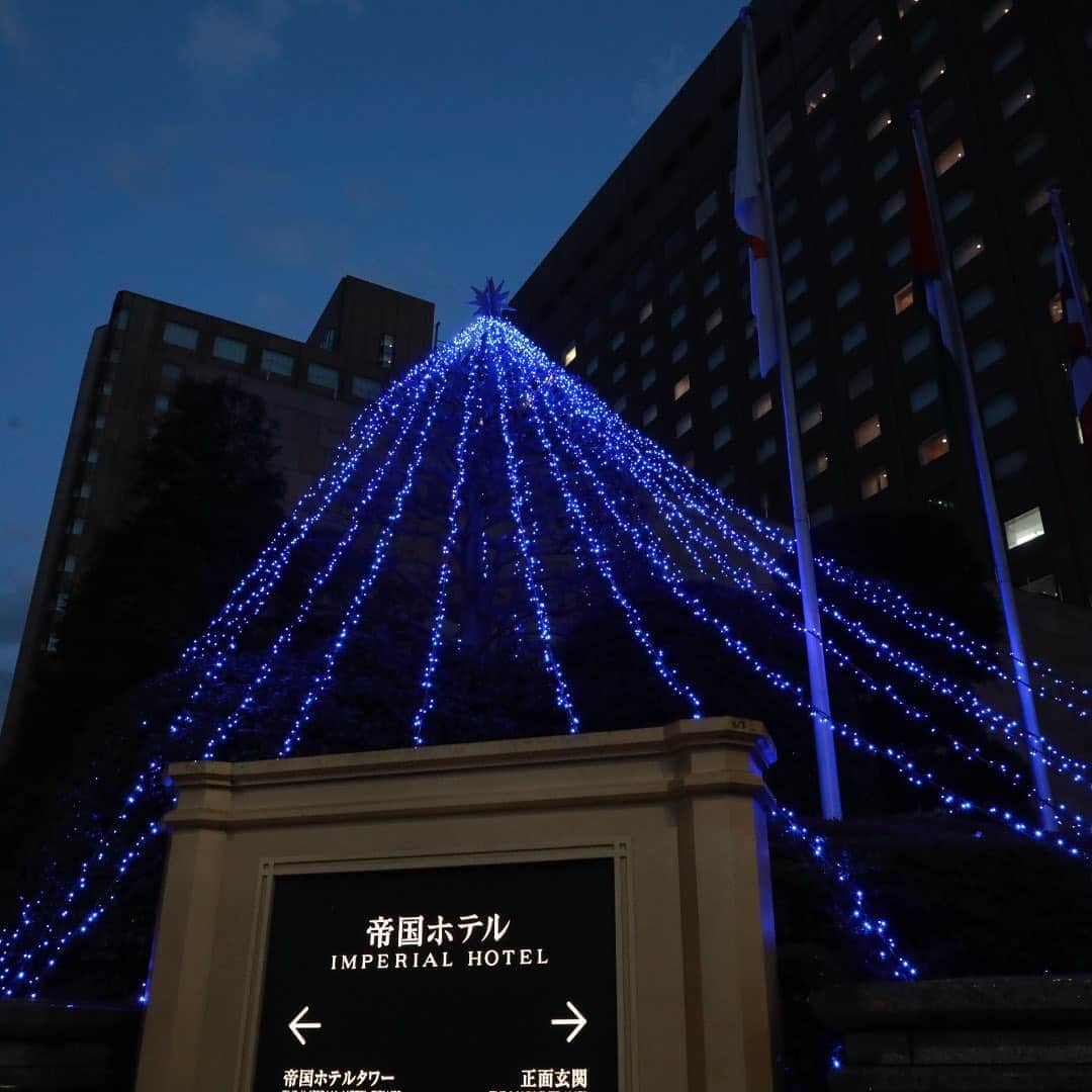 Imperialhotel_jp_帝国ホテル 公式さんのインスタグラム写真 - (Imperialhotel_jp_帝国ホテル 公式Instagram)「～帝国ホテル 東京のクリスマスイルミネーション～ 今年も帝国ホテル 東京のクリスマスイルミネーションが始まりました！「光のツリー」は、医療従事者の方への感謝の気持ちを込めて、ブルーライトで照らしています。また、11月に帝国ホテル開業130周年を迎えたことにちなみ、記念ロゴをあしらった装飾で、エンターテインメントの街・日比谷の夜をきらびやかに彩ります。 そして、毎年人気のロビーの赤いバラには、「ユミカツラインターナショナル」のウエディングドレスの生地を再利用して作ったチュールの花をアクセントとして飾りました。ぜひお近くでご覧ください。 ロビー装花の詳細は @imperialhotel_jp_official プロフィールURL（公式HP）より「帝国ホテル 東京」→「今月のロビー装花」へ。  #imperialhoteljp #imperialhotel #imperialhoteltokyo #japan #tokyo #hibiya #ginza #uncommontravel #Xmas #Christma #illumination　 #帝国ホテル #帝国ホテル東京 #東京 #日比谷 #銀座 #クリスマス #クリスマスイルミネーション #130周年　 #帝國飯店 #帝國飯店東京 #日本 #임페리얼호텔 #임페리얼호텔도쿄 #일본 #도쿄」11月5日 17時31分 - imperialhotel_jp_official