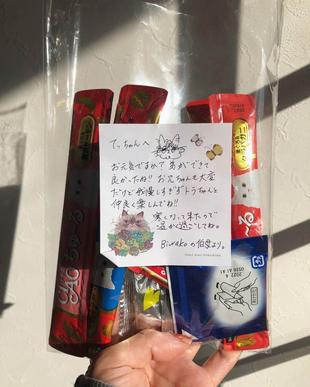 芽朗さんのインスタグラム写真 - (芽朗Instagram)「ただいまボーイズ🐈🐈. 特にお留守番頑張ってくれたてっちり、有難う🥺🤍.  姉からお兄ちゃん頑張ってるてっちりに贈り物が届いたので今日は朝からご褒美タイム。」11月5日 8時57分 - mellowfukushima