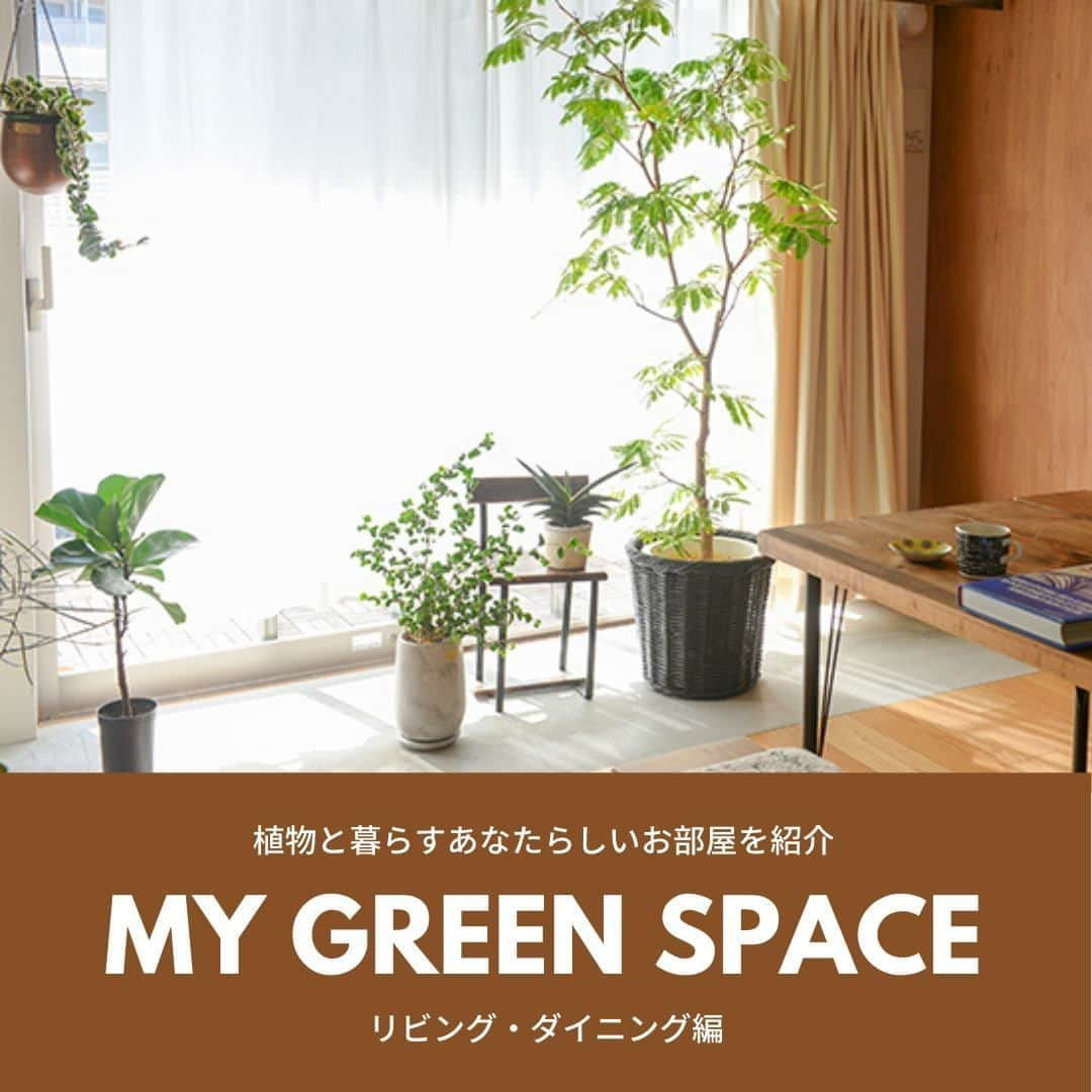 LOVEGREEN -植物と暮らしを豊かに。のインスタグラム