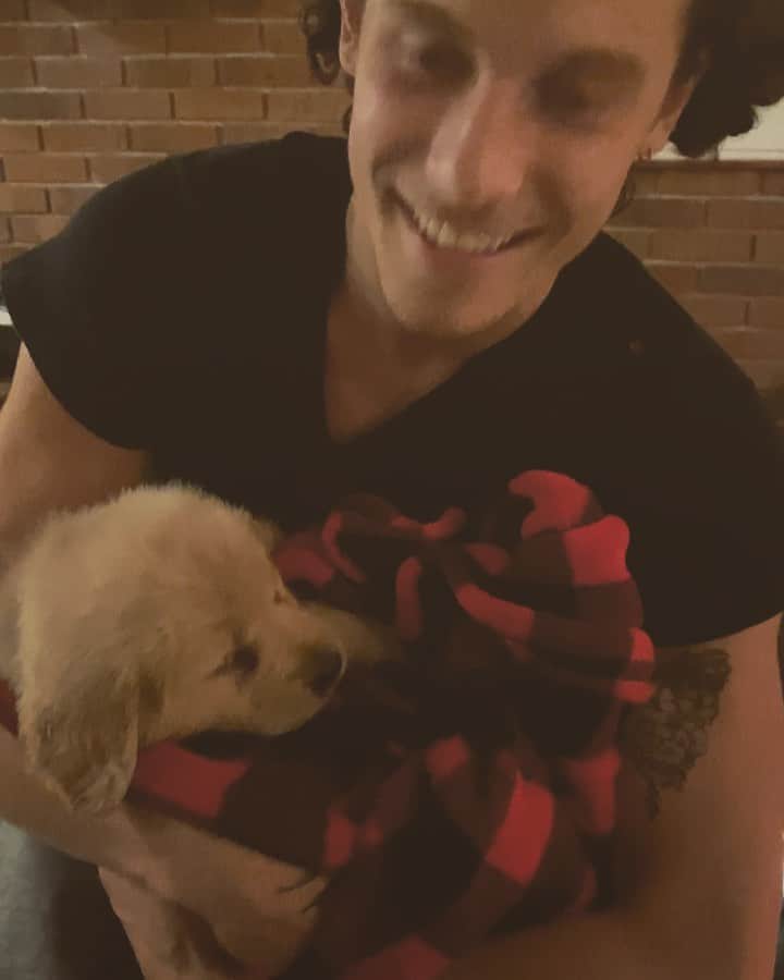 のインスタグラム：「during uncertain times like this we need a reminder that sweet miracle things like puppies exist in the world too, meet the new member of the pack: Tarzan! Sending to love all of you guys and remember: regardless of the outcome, WE are the ones responsible for building the world we want to live in. the fight for BEING the society we want to see. That continues after this outcome is decided. This is what I’m telling myself to soothe myself right now because it’s the only thing we actually can control. love you guys and Tarzan sends a big puppy lick」