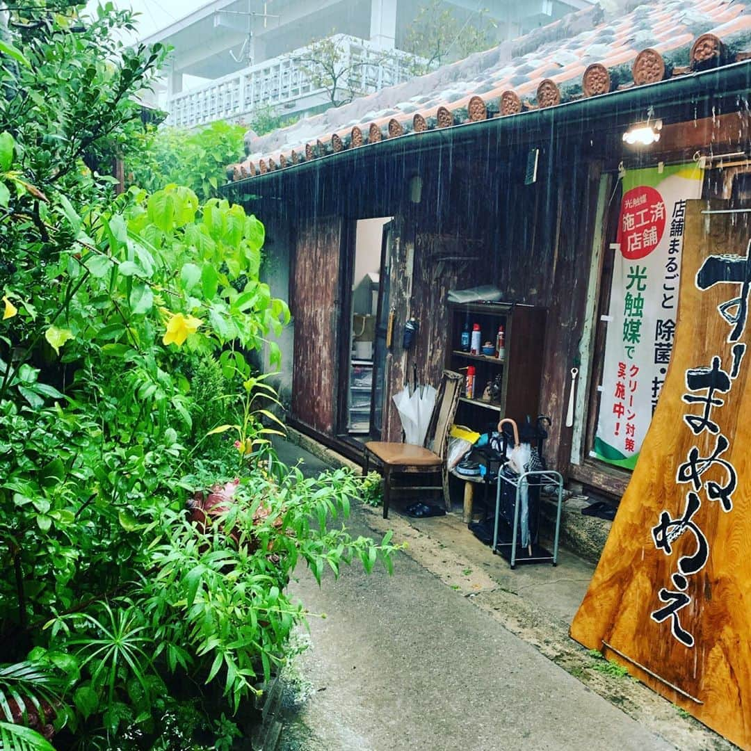 前田典子さんのインスタグラム写真 - (前田典子Instagram)「先日の　#goto #沖縄旅  #ソーキそば #すーまぬめぇ  #スペシャルは肉3種盛り #よもぎ　トッピング #お庭が可愛い　🌸🌺🌼 #可愛いシーサーもいた　 #晴れた日にまた行きたい #壺が多め #沖縄の古民家 #縁側から入るスタイル #おばあちゃんちに来たみたい #カレンダーが9月からめくられていない  @ayako.itokazu に連れてきてもらった with アラナちゃん 地元の2人もここは美味しい❣️っておススメ  #goto #沖縄　 初日は #大雨☔️ でした 大雨特別警報のアラート音が携帯から何回も鳴るぐらい😱📱 #マエノリグルメ」11月5日 9時15分 - maenorichang