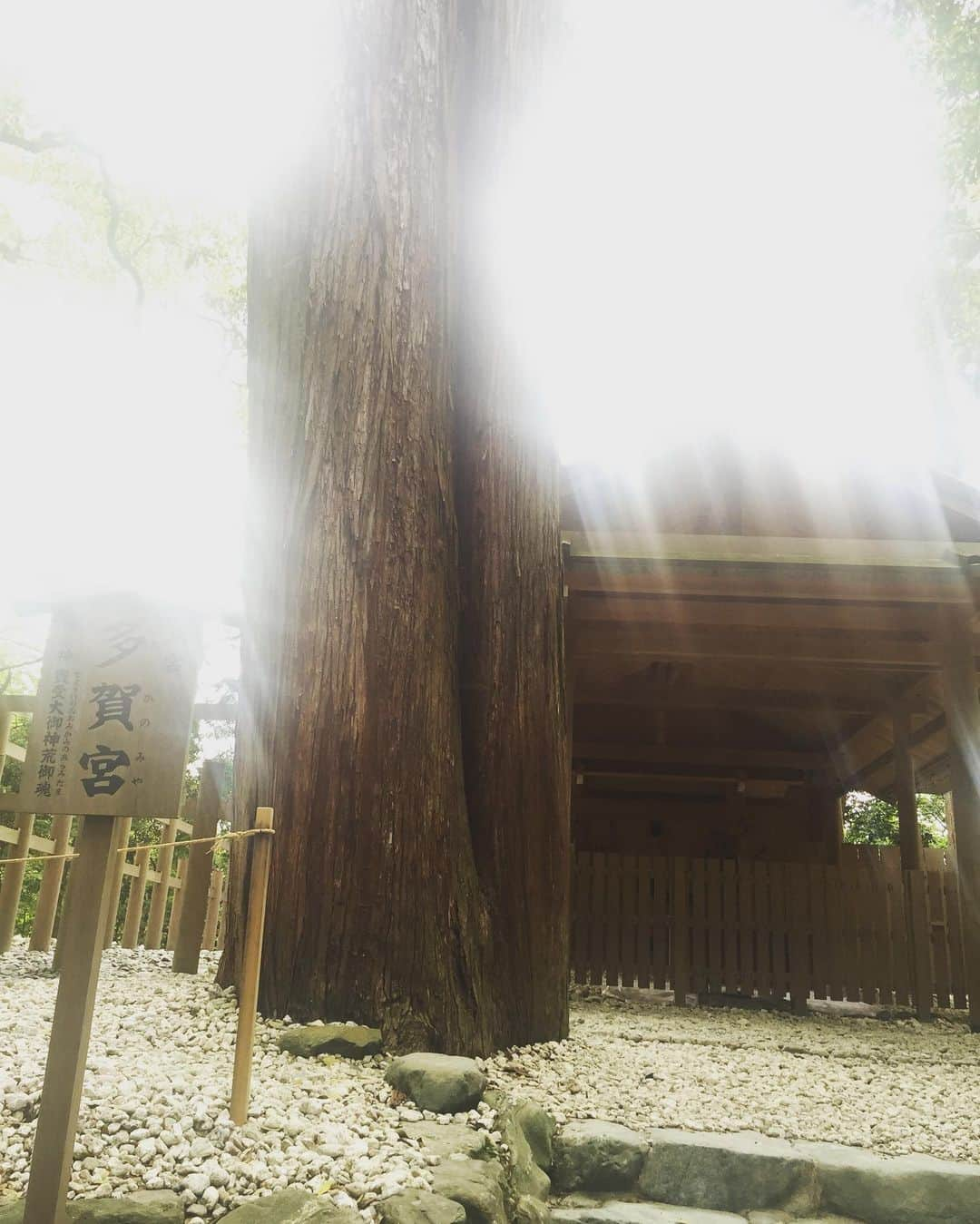 SHOCK EYEさんのインスタグラム写真 - (SHOCK EYEInstagram)「伊勢神宮外宮の荒御魂宮「多賀宮」⛩ 個人的なお願いはこちらで🙏 ノン加工でこの光😂 凄すぎる✨✨✨  #伊勢神宮 #外宮 #豊受大神宮 #別宮 #多賀宮 #荒御魂」11月5日 10時05分 - shockeye_official