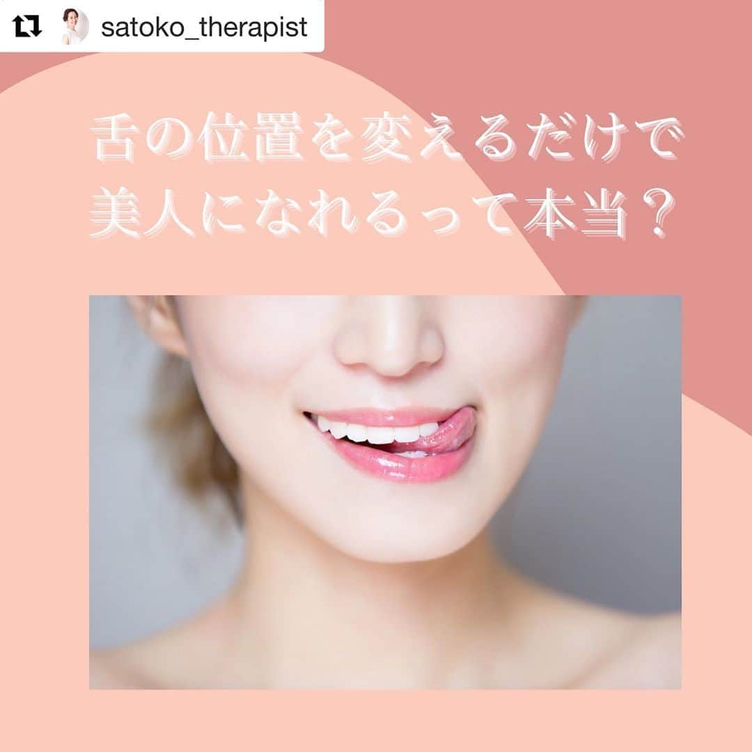 笑顔をリフォームする@健康小顔職人さんのインスタグラム写真 - (笑顔をリフォームする@健康小顔職人Instagram)「． 現在、巷で話題になっている舌の位置で小顔になる⁉️というトピックを @satoko_therapist ちゃんが分かりやすい画像と共に解説をしてくれています！ ． 皆さんの舌の位置はどうですか？改めて意識してみると面白いと思いますよ😆 ． ． #Repost @satoko_therapist with @get_repost ・・・ 【もっと詳しく‼️舌の位置を変えるだけで美人になれるかも？】﻿ ﻿ #舌の位置を正しい位置に変えるだけで美人になれるかも？﻿ ↑﻿ 以前の投稿でかなり反響があったので、﻿ もう少し掘り下げて再投稿させて頂きます！﻿ ﻿ 「骨格は骨で出来ているのに、本当に舌の力だけで全体のバランスが崩れるの？」﻿ と思う方もみえると思います。﻿ ﻿ 顔はいくつもの骨が繋がってできています。﻿ そして骨同士の連結部分は繊維質でできているので時間が経つにつれて少しずつ動いていきます。﻿ ﻿ 上顎骨は顔の大きな範囲を占める重要な部分。﻿ そのため舌の位置を変える事で徐々に骨格が変わる可能性があるのです💀✨﻿ ﻿ 既に海外では「舌の位置を変えようブーム」が起こっています。﻿ この方法は矯正専門医のマイク・ミュー博士の名前に因んで「ミューイング」と呼ばれています。﻿ ﻿ ミューイングを実施した写真をみてみると﻿ 頬骨、顎のライン、鼻の高さなど全体的に立体的な顔に変化していますよね👏﻿ ﻿ これはやはり、若ければ若いほど短期間で変化が現れるそうですが、成人後も顔が変わった事例が沢山あります。﻿ ﻿ 何故なら成人してからも骨の連結部分は完全に固まっていないからです！﻿ ﻿ 私たち(小顔職人 @kogao_shokunin ・小顔美容整体技士 @satoko_therapist )が行う小顔整顔と、﻿ ミューイングを併せて行えば、より早く結果が得られるはずです💆‍♀️✨﻿ ﻿ =============================﻿ ◼︎現役セラピストの私が本気で作った温活アイテム♨️﻿ #nakeda_alphaハーブパット﻿ ▷ @nakeda_alpha 残り僅か⚡️﻿ ﻿ ◼︎ @kogao_shokunin × @nakeda_alphaコラボ﻿ 『エンジェルハーブパット』👼✨﻿ ▷@happy_cosme_kogaoshokunin で好評発売中🌈﻿ =============================﻿ ﻿ #小顔美容整体技士﻿ #セラピスト﻿ #漢方ライフアドバイザー﻿ #ハーブパット作家﻿ #サトコラム﻿ #ミューイング」11月5日 10時08分 - kogao_shokunin