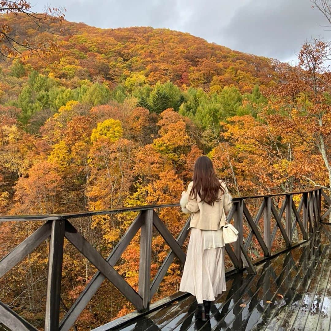 RINKAさんのインスタグラム写真 - (RINKAInstagram)「🍁. もう紅葉もおわりで 雪の季節だね☃️❄️ . ホテルのごはんやさんが いっぱいだったから 定山渓温泉の夜は ジンギスカンたべたよん🤭♥️ . 店員さん優しくていいお店だった☺️ . #札幌観光#紅葉2020#定山渓#定山渓温泉#女子旅#札幌グルメ#定山渓紅葉」11月5日 10時20分 - rinka.716