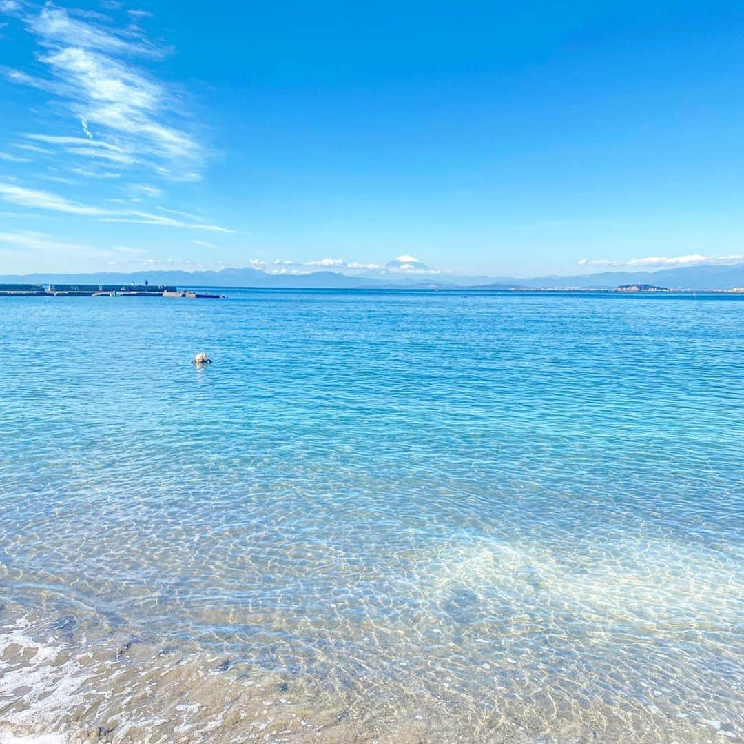 Hiroe Hiranoさんのインスタグラム写真 - (Hiroe HiranoInstagram)「朝のモーニングルーティン。 この時期の朝活は、気持ち良し🌿 海も透き通ってるよ✨ 山も紅葉🍁がかってきました。  ビーチチェアをゲットしまして🏖☕️ ひきたてのコーヒーと本📖を持参して。  幸せなひととき❤️ BGMは、波の音🌊  SUPやカヤック、シュノーケリング、 ヨガやランニングをそれぞれ楽しんでる✨  お仕事前の有意義な時間💎 #hayama #goodmorning #葉山 #セルフケアタイム #charge #チャージ」11月5日 10時36分 - hiroe_hirano