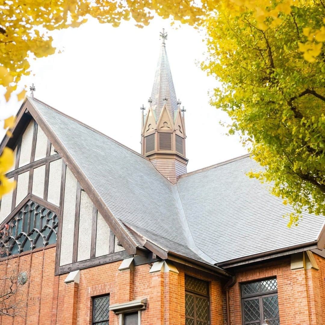 Meiji Gakuin/明治学院大学/明学さんのインスタグラム写真 - (Meiji Gakuin/明治学院大学/明学Instagram)「秋の白金キャンパスの木々たち🍁ㅤㅤㅤㅤㅤㅤㅤㅤㅤㅤㅤㅤㅤ  今はまだ緑色ですが、11月後半になると黄色く色づきます❣️ 写真は昨年のものですが、この風景が見られるのが楽しみですね。ㅤㅤㅤㅤㅤㅤㅤㅤㅤㅤㅤㅤㅤ  冷え込みが厳しくなってきましたが、今日も頑張っていきましょう☺️  #明治学院大学 #白金キャンパス  #明学 #明治学院 #明学ライフ #大学 #授業 #秋学期 #秋学期もがんばろう #紅葉#チャペル#meijigakuinuniversity #meijigakuin #university #photography #photographer」11月5日 11時00分 - mguniv