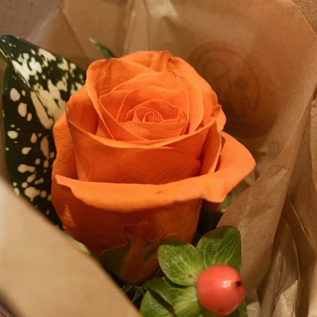 菅谷梨沙子さんのインスタグラム写真 - (菅谷梨沙子Instagram)「最近はグラノーラにハマっています🥣🍌 今朝はバナナをのせて食べました。 食べたら毎月定期便で頼んでいる　@bloomeelife のお花の手入れをして1日が始まるこの頃です☀️  今週はオレンジ色の薔薇。 ポスト投函なのと、毎回どんなお花なのか届くまで分からないワクワクと自分ではあまり買わない・知らないお花もあるので楽しみの１つなのです💐  bloomeelifeでは、お花のお届けが初回無料になるクーポンもあるので、良かったら使って下さい☺️  ・クーポンコード：risako ・有効期限：2020年11月30日  今日もいい天気だ☁️ 1日頑張ろう✊🏻‼︎  #bloomeelife#お花のある暮らし」11月5日 11時06分 - risako_sugaya