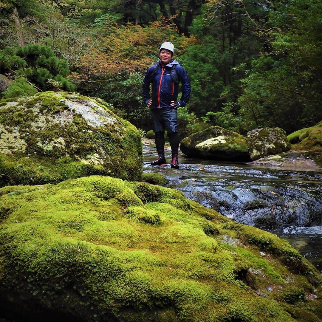 堀江貴文さんのインスタグラム写真 - (堀江貴文Instagram)「#yakushima #canyoning #bonsai #沢登り #屋久島 #まるで日本庭園のような景色がずっと広がる秘密の沢」11月5日 11時09分 - takapon_jp