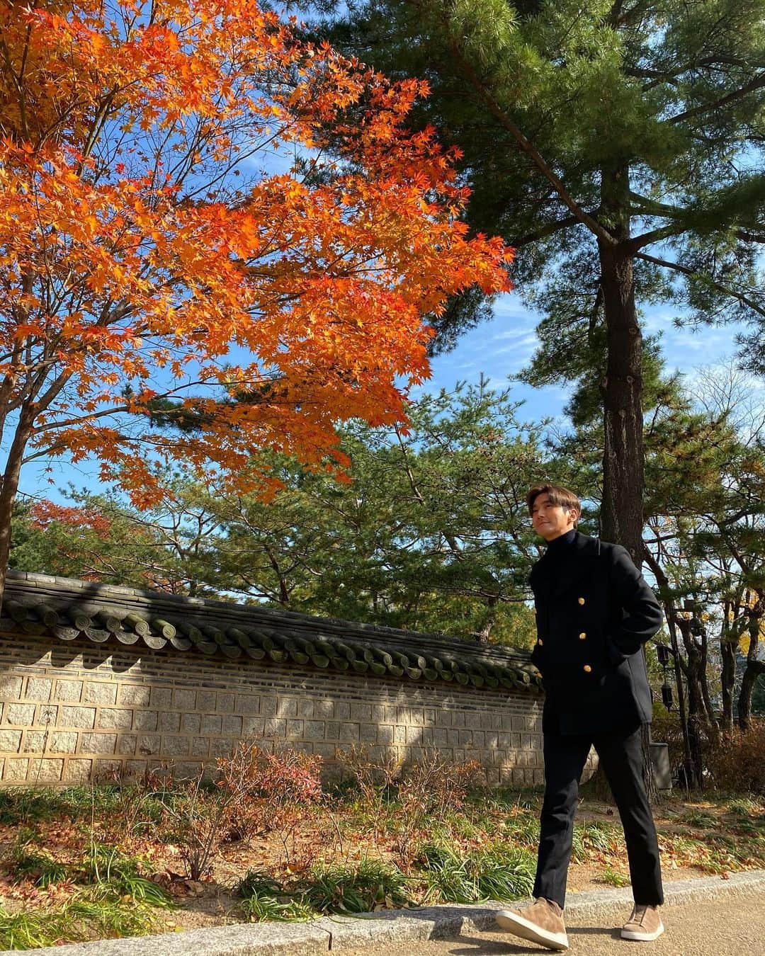 チェ・シウォン（SUPER JUNIOR）さんのインスタグラム写真 - (チェ・シウォン（SUPER JUNIOR）Instagram)「Autumn is just around the corner. Time to walk together. @zegnaofficial」11月5日 11時34分 - siwonchoi