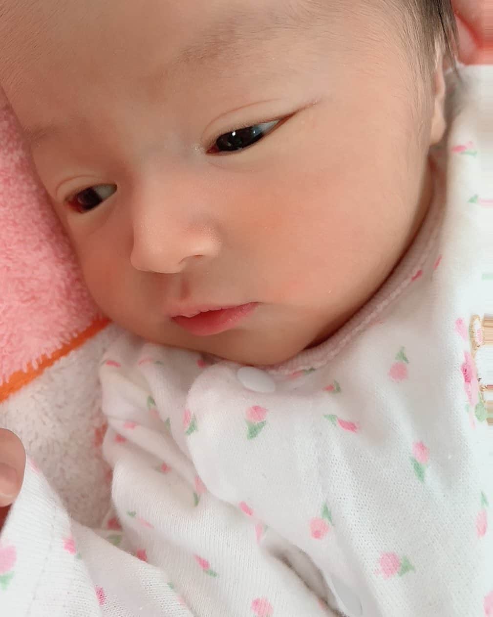 アレクサンダーさんのインスタグラム写真 アレクサンダーinstagram 今日の美人ちゃんでございます おはよう みんなおはよう 赤ちゃん 14日 11月6日 12時35分 Alexanderfriends