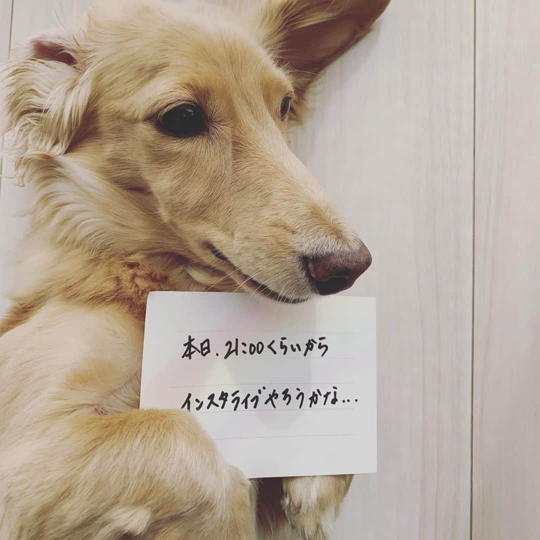 福井晶一さんのインスタグラム写真 - (福井晶一Instagram)「見てくれますか？  #インスタライブ #３回目 #もうやり方忘れてる」11月5日 12時36分 - shoichi.fukui